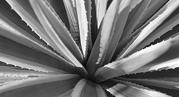 BW.52x96_109200623940PM~ZV4N3493