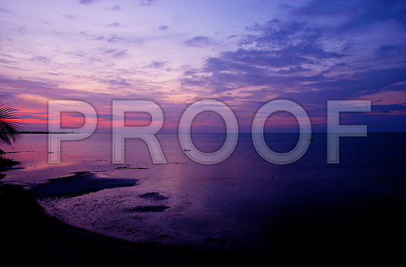 184833897_purple sunrise-2