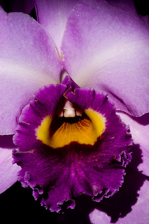 Fairchild_Garden_010_05-2