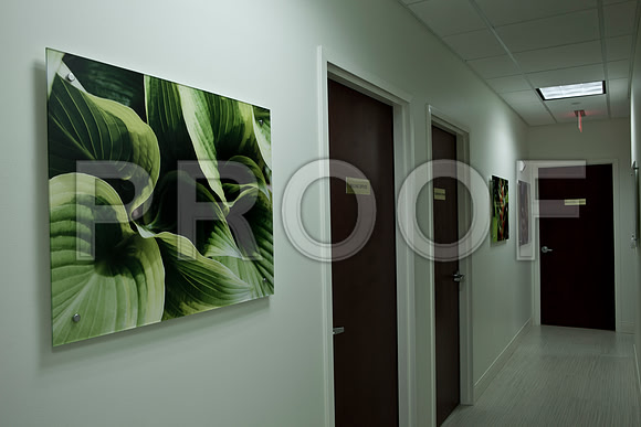 4937_DG_Dr_Amos_Clinic_Instalation_West_Palm_Beach_FL_2010_IMG_0075