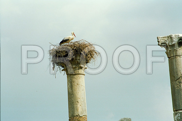 0994_Ekerd_France_38_73-29_full_blead