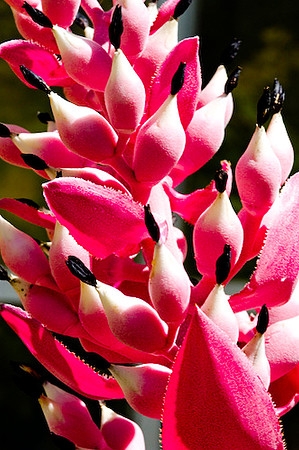 Fairchild_Garden_015_05-2