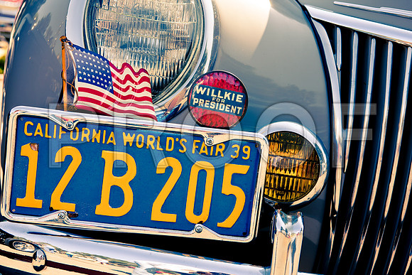 0026_DG_Mill_Valley_CA_USA_2009_5L8Y1864