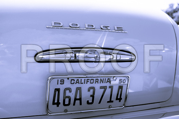 0026_DG_Mill_Valley_CA_USA_2009_5L8Y1808