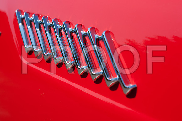 0026_DG_Mill_Valley_CA_USA_2009_5L8Y1798