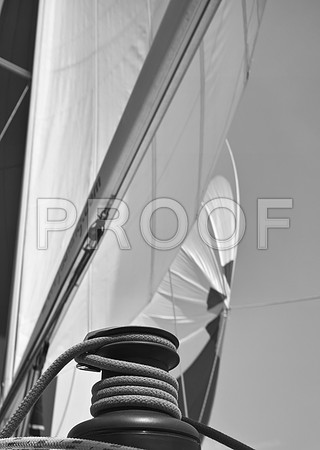 sh_83536825