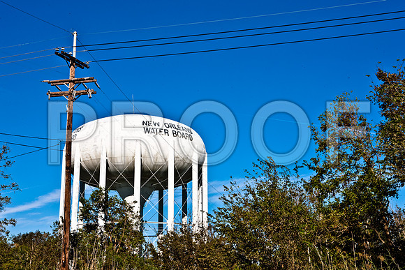 20081023_DVD75_DG_USA_New_Orleans_LA5L8Y0578_full_blead
