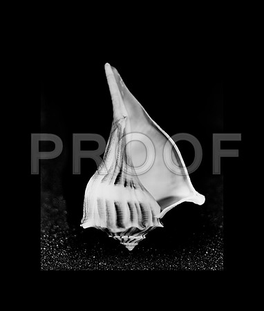 42432_D3_25_3_827_Blk 2