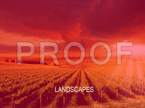 LANDSCAPES_LE_thumbnail