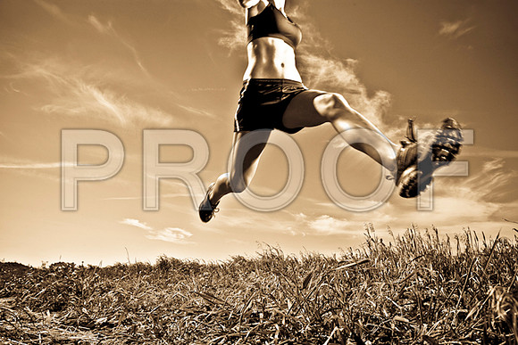 iStock_000009021892Medium-2
