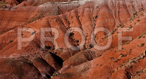 20080917_DVD60_DG_from_Sedona_to_Gallup_5L8Y7931_full_blead