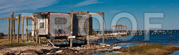 20081023_DVD75_DG_USA_New_Orleans_LA5L8Y0618_full_blead
