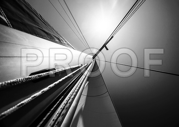 sh_150537224
