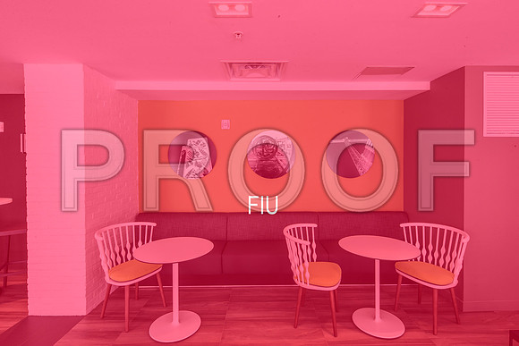 FIU THUMBNAIL