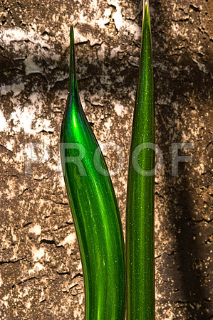 84775_DSC_0021_Fairchild_Garden_Miami_FL_USA