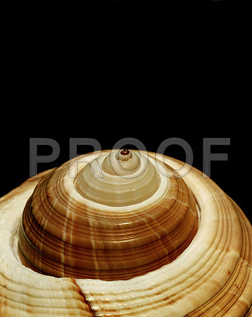 Giant-Tum_42465_C_V_16_20