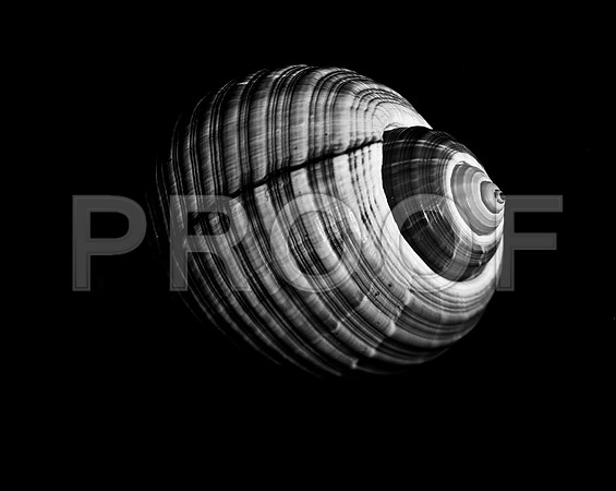 42423_FM_4X5_BW_GIANT_TUM_FL_04_01.jpg