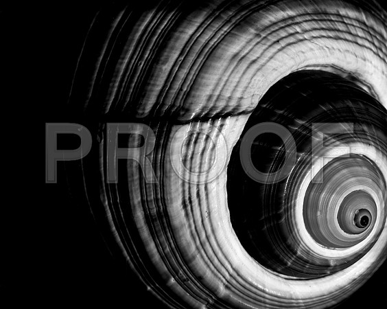 42425_FM_4X5_BW_GIANT_TUM_FL_04_09.jpg