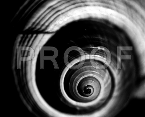42425_FM_4X5_BW_GIANT_TUM_FL_04_04.jpg