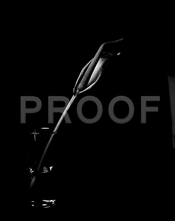 42442_FM_4X5_BW_SPATHPHYLLUM_LILLY_SHELLS_FL_04_10.jpg
