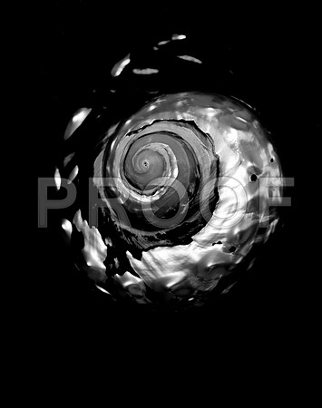 42446_FM_4X5_BW_NATNAUT_SHELLS_FL_04_01.jpg