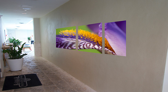 OPTION 2_FLORAL_SPA