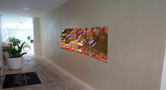 OPTION 8_FLORAL_SPA