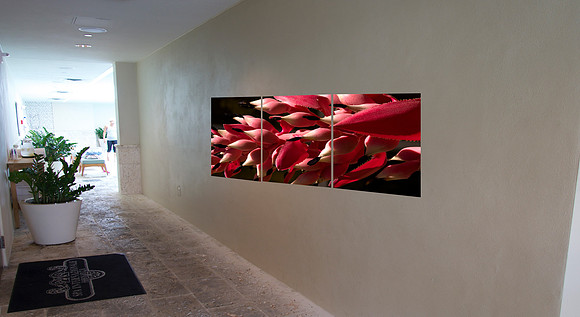 OPTION 10 _FLORAL_SPA