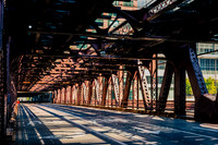 0015_DG_Chicago_USA_2009_5L8Y2211