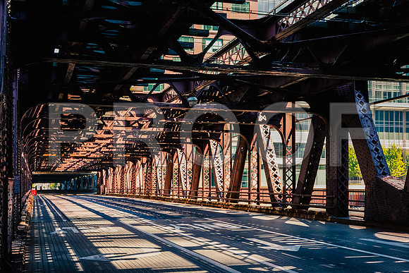 0015_DG_Chicago_USA_2009_5L8Y2211