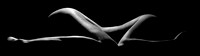 _Nude_106x30(2)