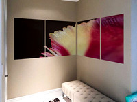 Alex-Corner-Wall-flower-4-4