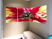 Alex Corner Wall flower 2-3