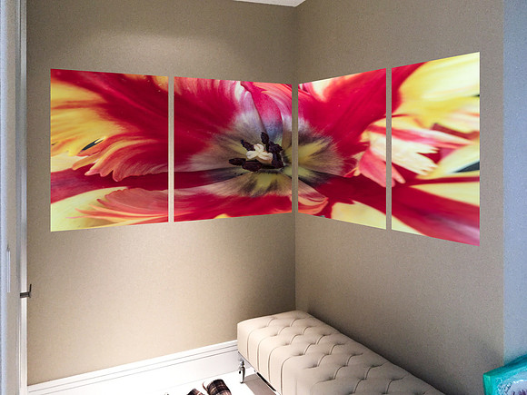 Alex Corner Wall flower 2-4