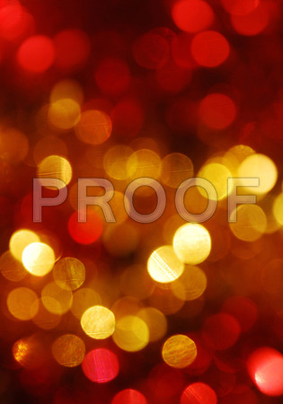 SKIMG1157841231