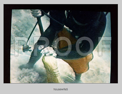 Screen Shot 2014-07-27 at 6.05.40 PM