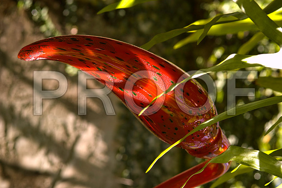 84775_DSC_0028_Fairchild_Garden_Miami_FL_USA
