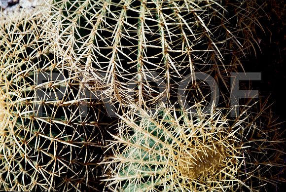 47717_B12_SL_COLOR_PHOENIX_TO_APACHE_TRAIL_HWY88_60_HISTORIC_AZ_97_10