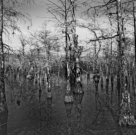 8285_FM_B1_BW_TAMAIMI_TRAIL_PORT_MIAMI_FL_04_02