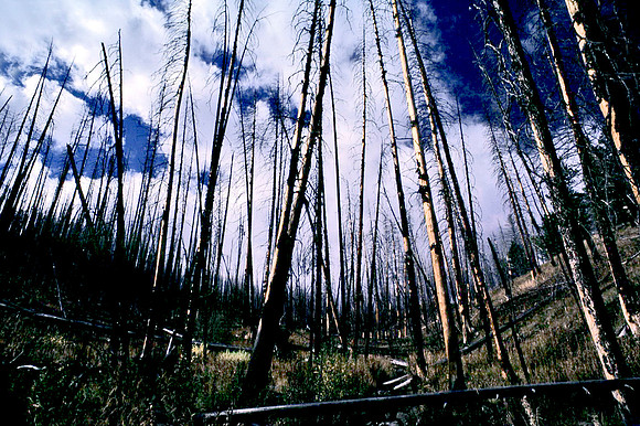 47680_B11_SL_COLOR_SODADUTE_YELLOWSTONE_WY_97_13