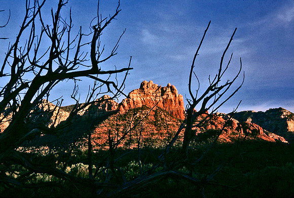 47701_B12_SL_COLOR_REDROCK_CATHEDRAL_ROCK_SEDONA_AZ_97_06