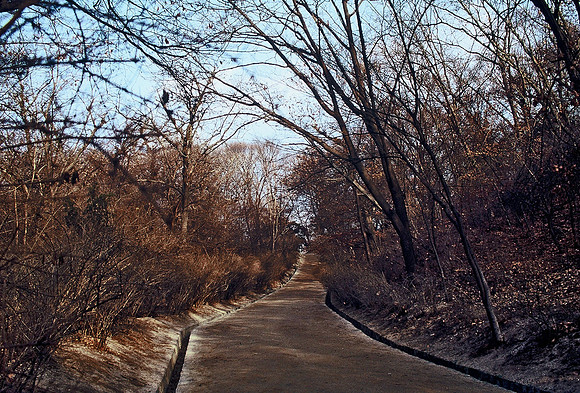 1963821_1963821-R16-E306