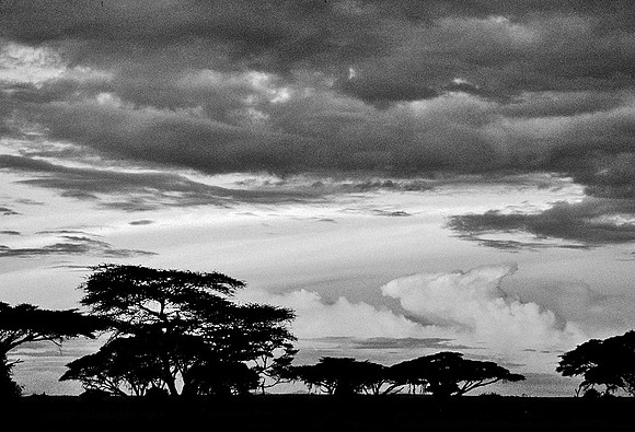 Africa_CD85305_-160