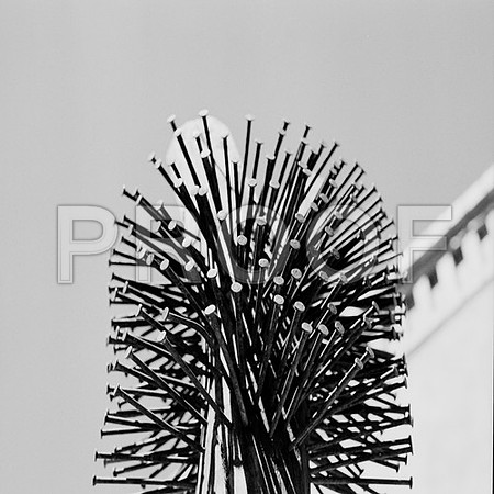 B3P1_7687_11_Nails