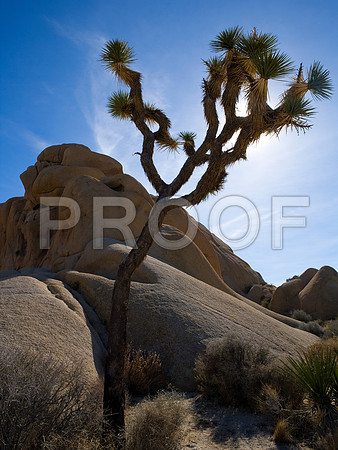 NV_2007_ZV4N1475rt