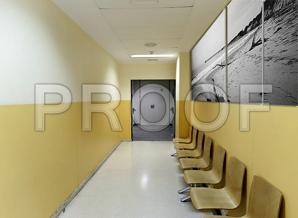 shutterstock_31901419_1