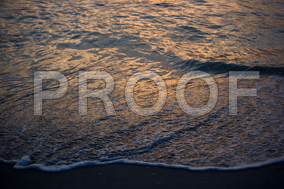 84675_ZV4N_6981