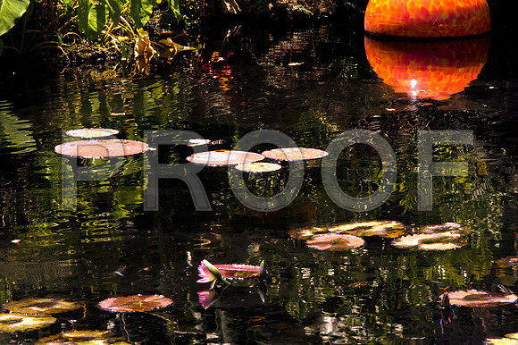84775_DSC_0101_Fairchild_Garden_Miami_FL_USA