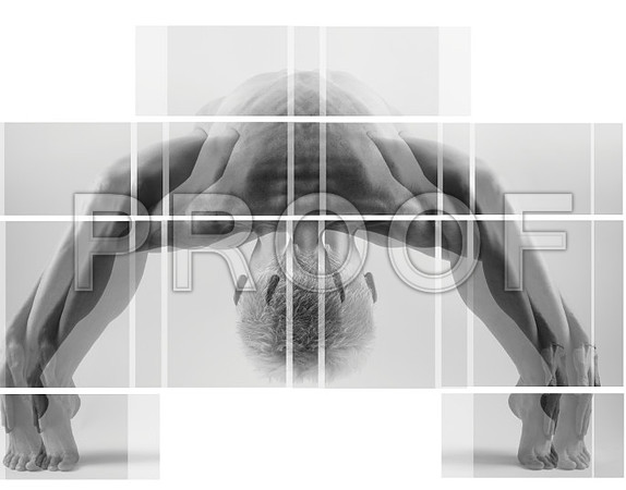 Screen Shot_overlaped_image 2014-03-01 at 6.36.12 AM