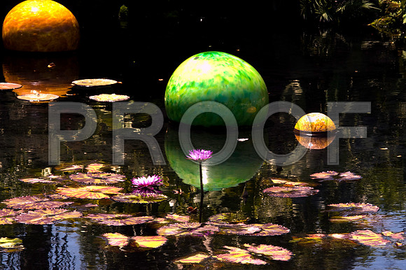 84775_DSC_0097_Fairchild_Garden_Miami_FL_USA